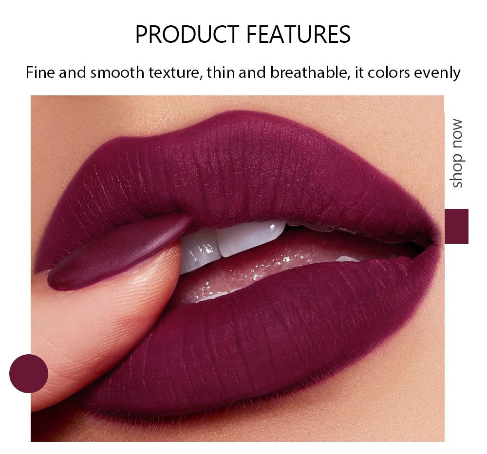 5 In 1 Matte Lipstick Kit Waterproof-2 Shade Combo