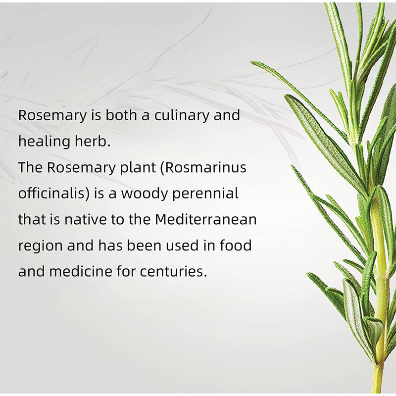 Mielle Rosemary Hair Growth Essential Oil