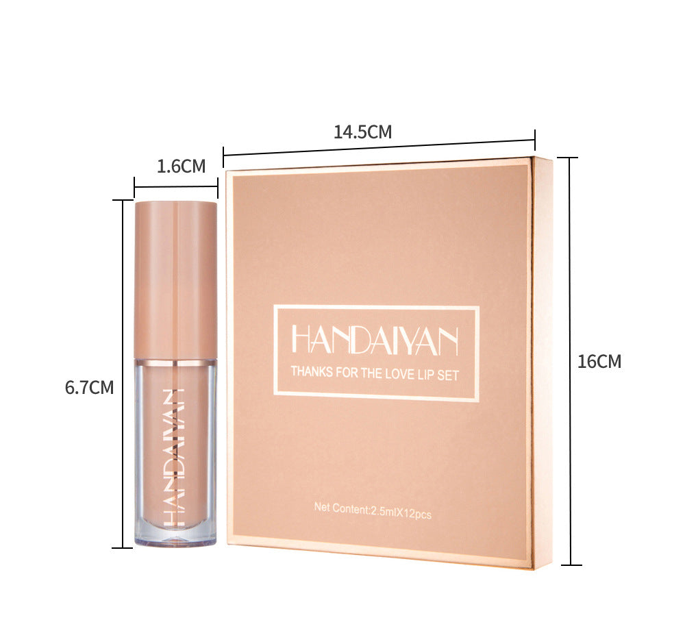 Handaiyan 12 Color Matte Liquid Lipstick